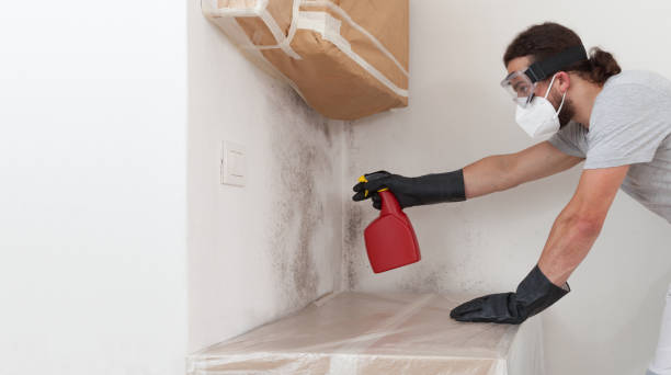 Professional Bathroom Mold Removal technician working in Graham, NC