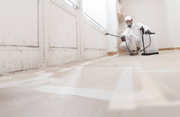 24/7 Emergency Bathroom Mold Removal experts in Graham, NC